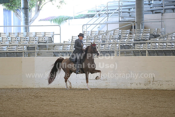 RCAHA19_FriAM_0078