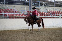 Class 72 HA/AA Western Pleasure Ladies or Gentlemen to Ride Open