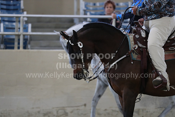 RCAHA19_FriAM_0281