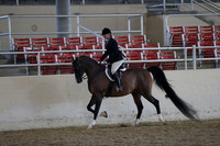 RCAHA19_FriAM_0356