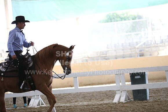 RCAHA19_FriAM_0310