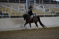 RCAHA19_FriAM_0372