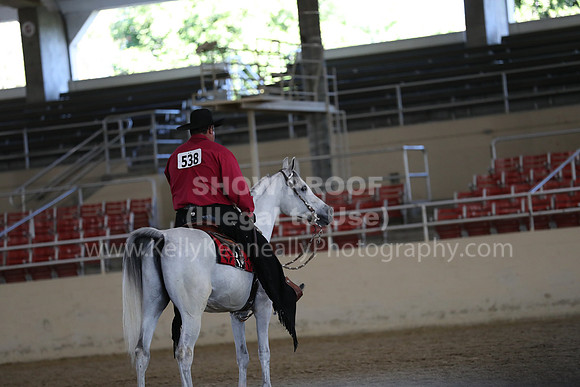 RCAHA19_FriAM_0323