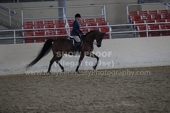 RCAHA19_FriAM_0383