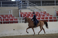 Class 76 HA/AA Park Horse