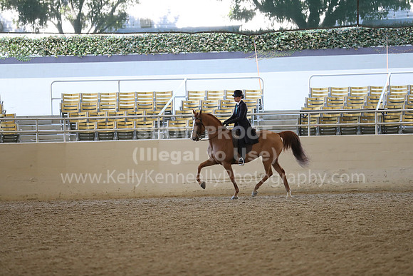 RCAHA19_FriAM_0431