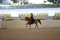 RCAHA19_FriAM_0432