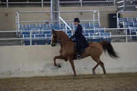RCAHA19_FriAM_0441