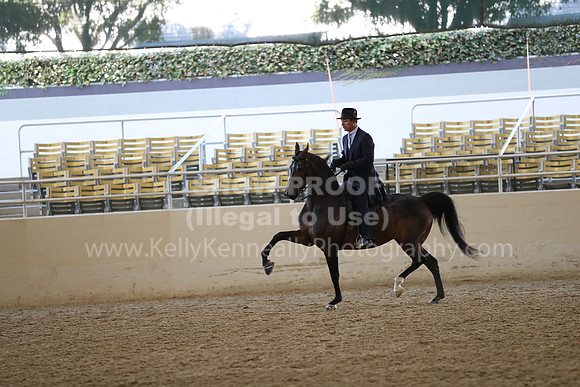 RCAHA19_FriAM_0446