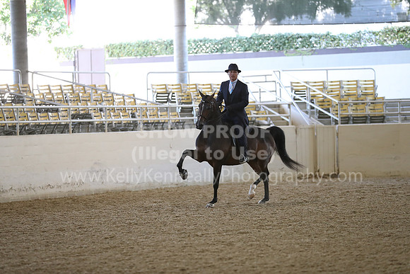 RCAHA19_FriAM_0447