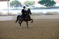 RCAHA19_FriAM_0448