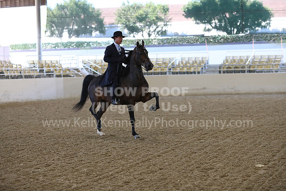 RCAHA19_FriAM_0448