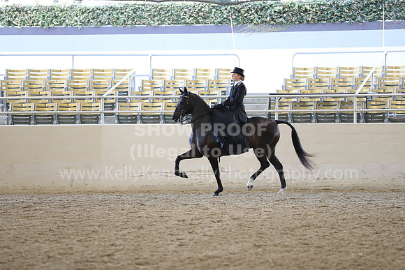RCAHA19_FriAM_0484