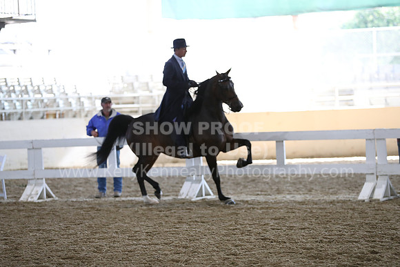 RCAHA19_FriAM_0454