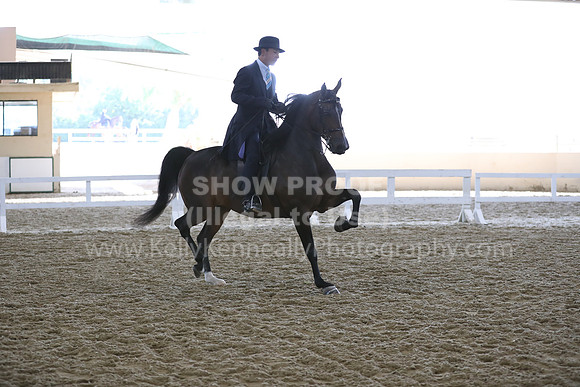 RCAHA19_FriAM_0456