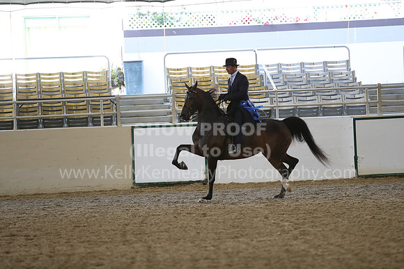 RCAHA19_FriAM_0462