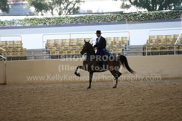 RCAHA19_FriAM_0465