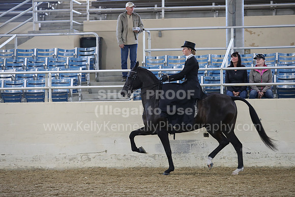 RCAHA19_FriAM_0492