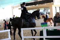 RCAHA19_FriAM_0497