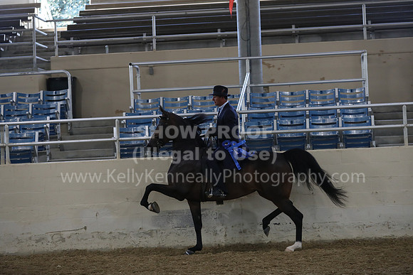 RCAHA19_FriAM_0474