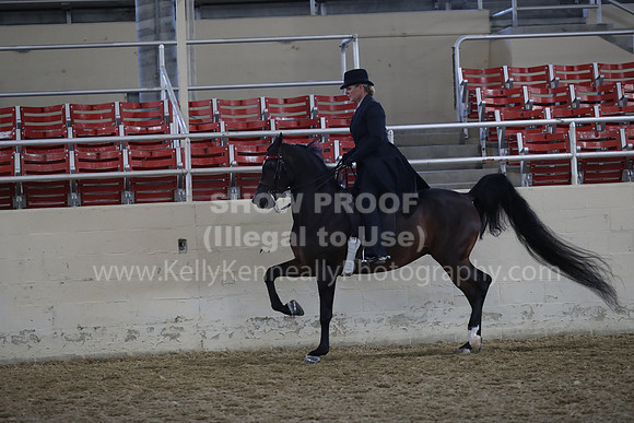 RCAHA19_FriAM_0512