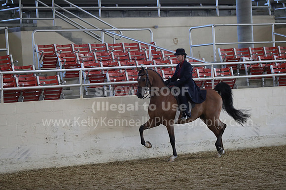 RCAHA19_FriAM_0513