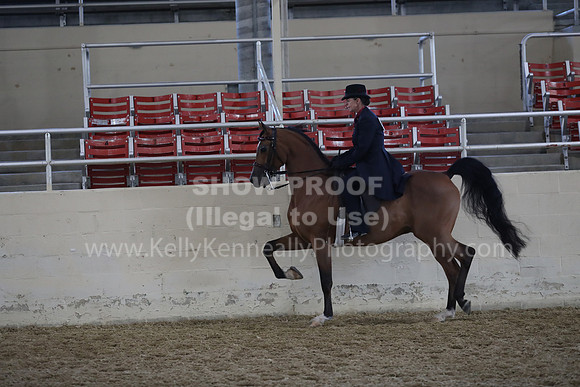 RCAHA19_FriAM_0518