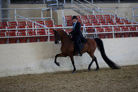 RCAHA19_FriAM_0520