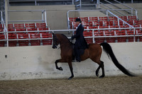 RCAHA19_FriAM_0523