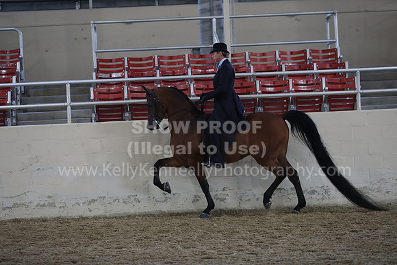 RCAHA19_FriAM_0524