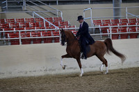 RCAHA19_FriAM_0528