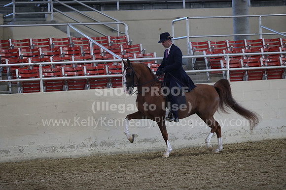 RCAHA19_FriAM_0528