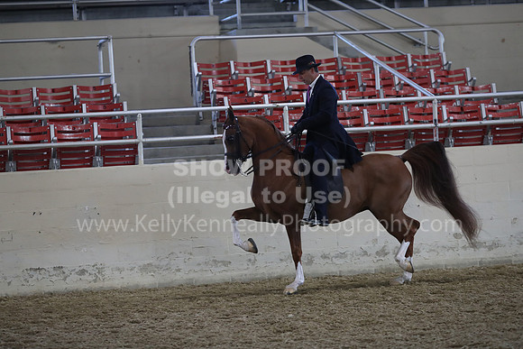 RCAHA19_FriAM_0529