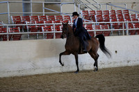 RCAHA19_FriAM_0531