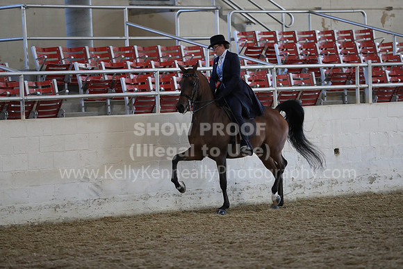 RCAHA19_FriAM_0531
