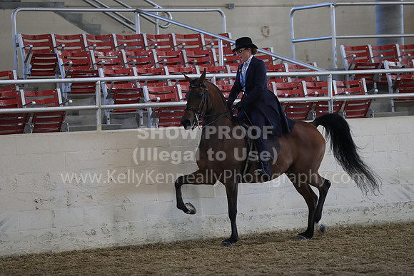 RCAHA19_FriAM_0533