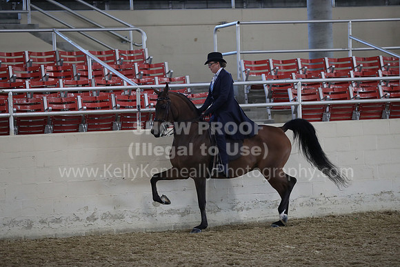 RCAHA19_FriAM_0535