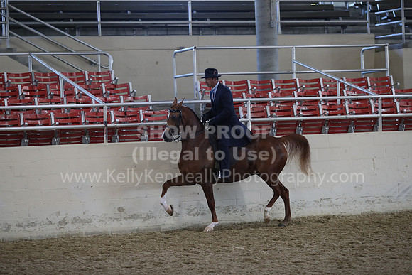 RCAHA19_FriAM_0541