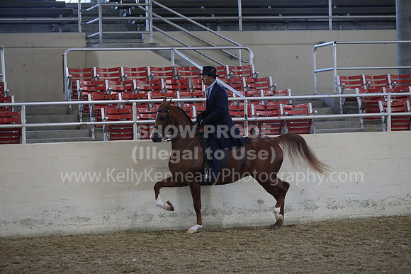 RCAHA19_FriAM_0542