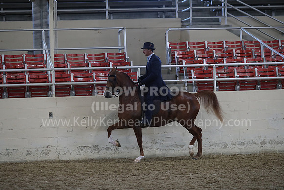 RCAHA19_FriAM_0543