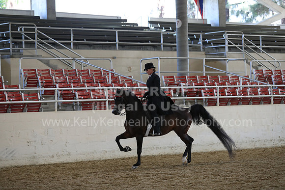 RCAHA19_FriAM_0546