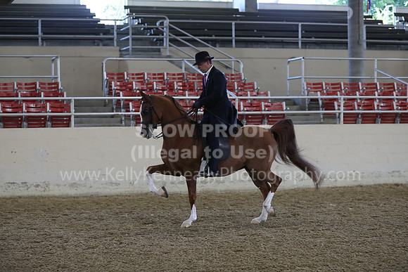 RCAHA19_FriAM_0555
