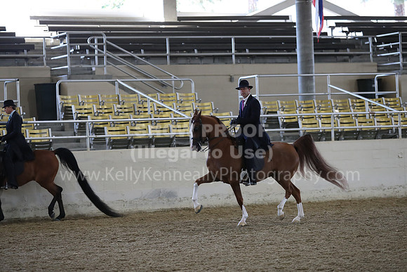 RCAHA19_FriAM_0566