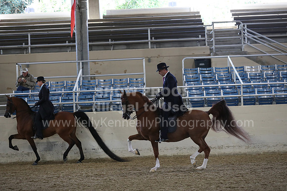 RCAHA19_FriAM_0570