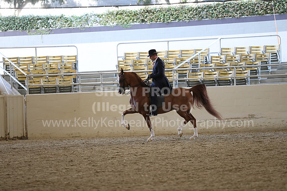 RCAHA19_FriAM_0594