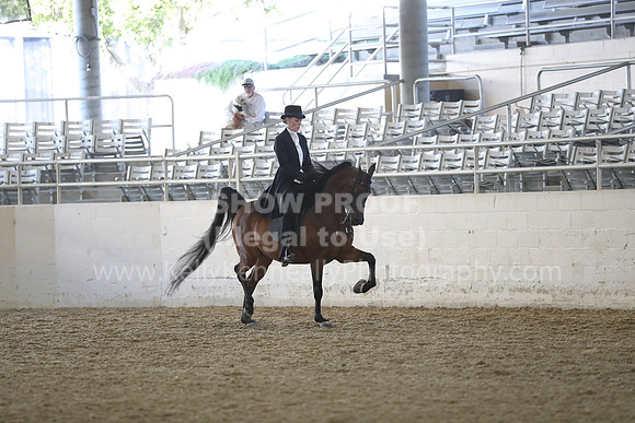 RCAHA19_FriAM_0612