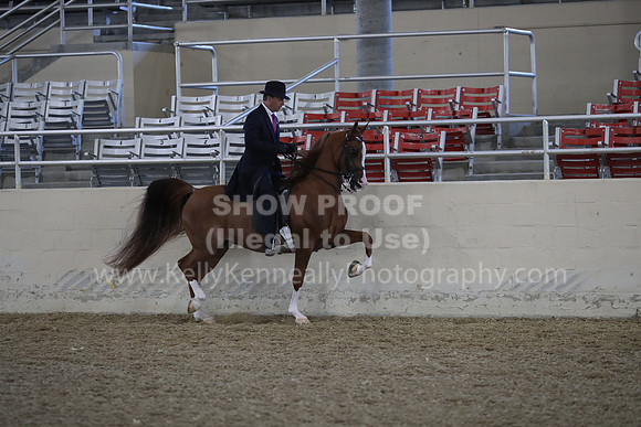 RCAHA19_FriAM_0629
