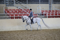Class 79 Arabian Hunter Pleasure AAOTR 19-49