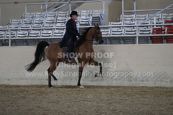RCAHA19_FriAM_0633