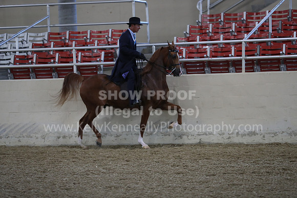 RCAHA19_FriAM_0649